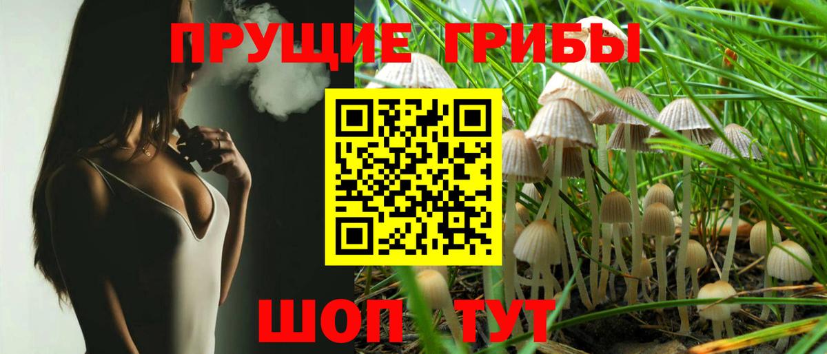 Кстово  Галлюциногенные грибы Cubensis  Вход с VPN  Псилоцибиновые грибы мицелий 